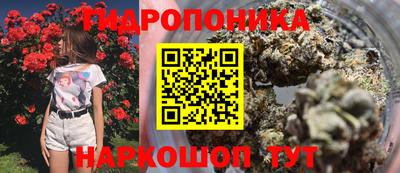spice Лесосибирск