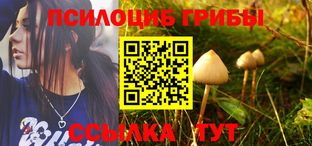 Галлюциногенные грибы Psilocybe  Вход с VPN  купить  сайты  Электросталь 